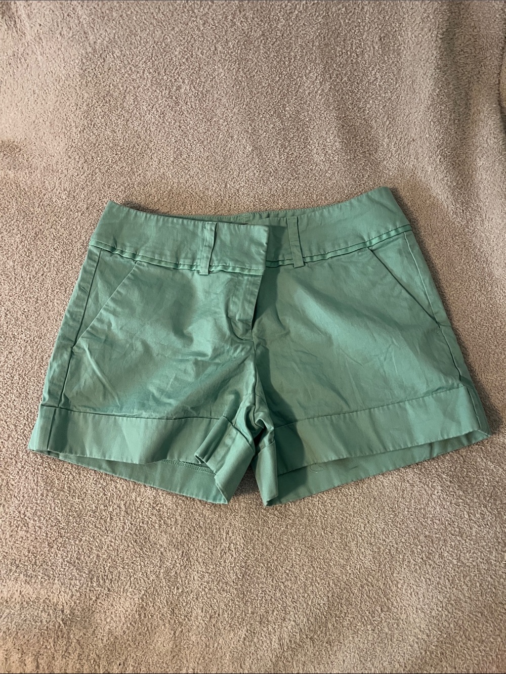 New York & Company Mint Green Tailored Shorts